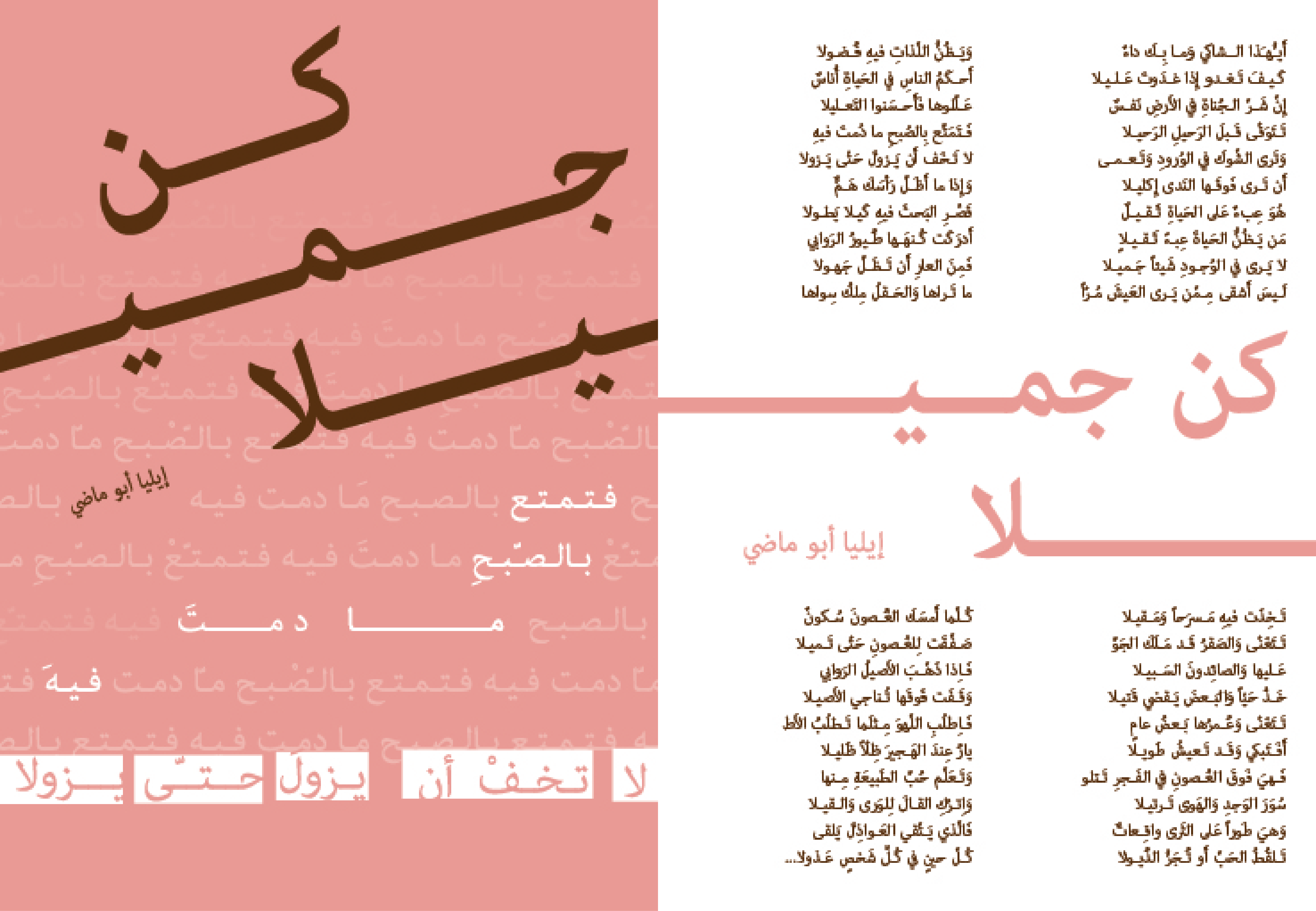 Project Preview